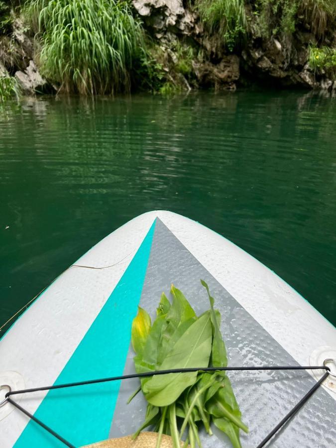 Neomalsore Agrotourism, Komani Lake 호텔 외부 사진
