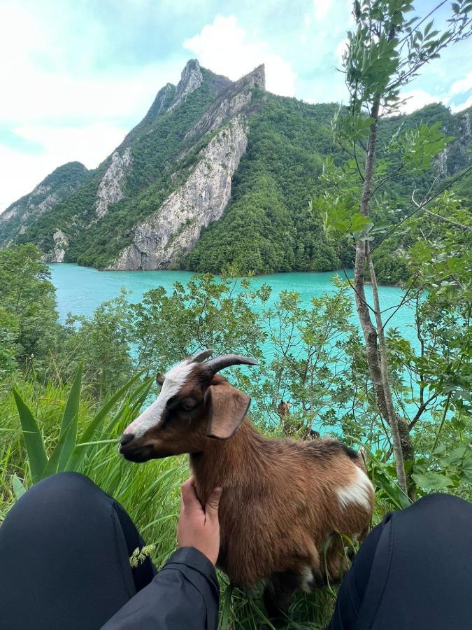 Neomalsore Agrotourism, Komani Lake 호텔 외부 사진